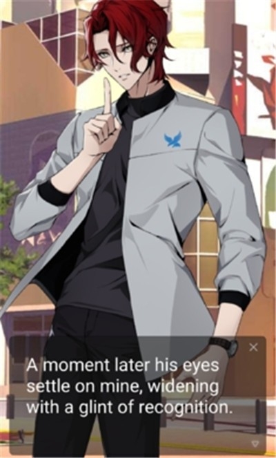 在东京追逐爱情