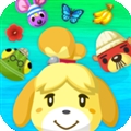 Pocket Camp
