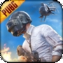 pubg轻体子阳V8直装