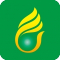 上海燃气app