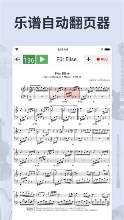 调音器和节拍器免费版