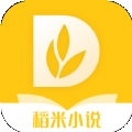 稻米小说