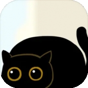 猫咪跷跷板
