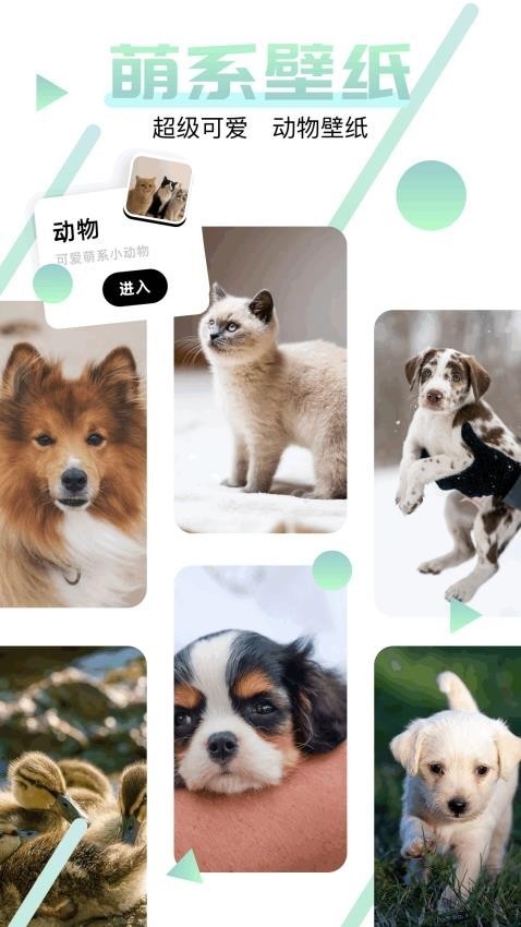 神图订制免费版