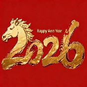 金马影视手机版