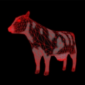 无人机保护动物模拟器