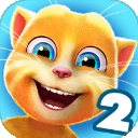 会说话的金杰猫2